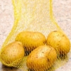 Aardappelpartjes voorberei