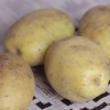 Aardappels pasop
