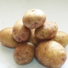Aardappels invriezen