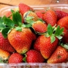 Aardbeien invriezen