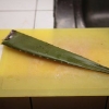 Maak aloe vera sap