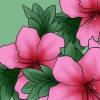 Versorging van azaleas