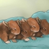Babykonijntjes voederen