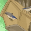 Help bedreigde spesies