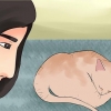 Bepalen of je kat dood is