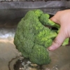 Broccoli-skoonmaak