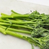 Broccolini berei