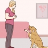 Communiceren met jou hond