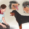 Controleren of je hond gesond en tevrede is