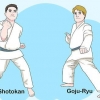 Verstaan ​​die basiese beginsels van karate