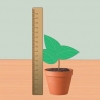 Meting van die groeitempo van plante