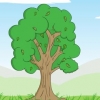 Bepaling van die ouderdom van 'n boom
