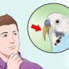 Die slaaf van 'n vogel knippen