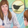 Die vleugels van 'n klein vogel knippen