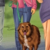 Een australiese herder trainen