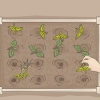 Begin 'n organiese tuin
