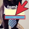 Vee 'n blog op tumblr uit