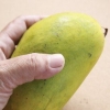 Een goeie mango uitsoek