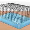 Een hamster temmen