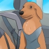 Een hond kalmeren die nerveus is in die auto
