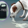 Een hond laat gebreek