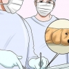 Een hond laten stoppen met bijten