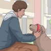 Een hond uitlaten