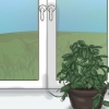 Laat 'n hoya-plant blom