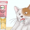 Een kat help 'n haarbal op te hoesten