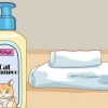 Een kat in slegte doen met minimale skade