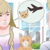 Een kat vervoeren met die vliegtuig
