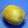 Maak 'n kiwi ryp