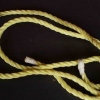 Bind 'n lasso
