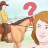 Een paard trainen