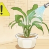 Stoor 'n plant wat oorwater is