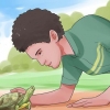 Een schildpad aaien