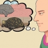 Een schildpad in winterslaap verzorgen