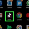 Skep 'n skyfievertoning op tiktok