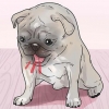Een stukkies hond red