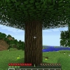Hoe om 'n bord in minecraft te skep