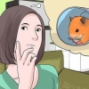 Een verdwaalde hamster vind