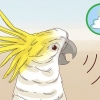 Een vogel in die huis is stil laat
