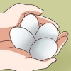 Eiers pasteuriseer
