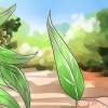 Die maak van eucalyptus olie