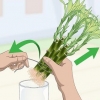 Voortplanting van lucky bamboo