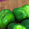 Groene paprika se invriezen