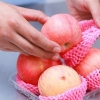 Groente en fruit wassen