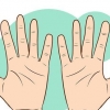 Handlijnen lees