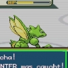 Ontwikkelende haunter