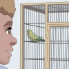 Het vertrou van jou vogel te wen
